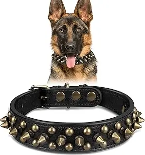 Apex - Decorative Leather Pet Accessories Manufacturer