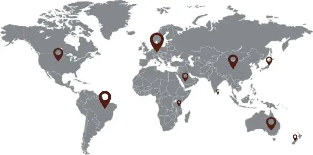 Apex Leather Supply Chain Network Worldwide