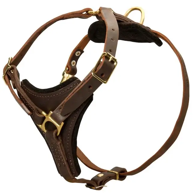 Apex _ Leather Dog Harness Manufacturer in India